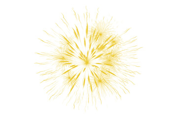 Fototapeta premium Single yellow splash burst on transparent background