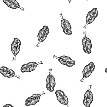seamless pattern fresh chard hand drawn. green beet, bunch spinach, leaves illustration fresh chard black sketch illustration