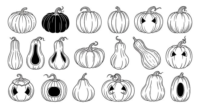 Black and White Halloween Pumpkin Collection Arranged on White Background