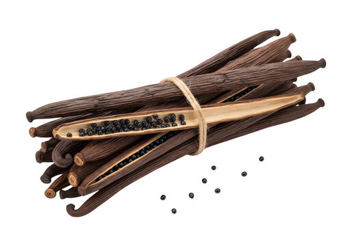 A bundle of dark brown dried vanilla bean pods tied with twine, with one split open to reveal small black seeds, isolated on black background