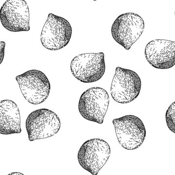 seamless pattern nature chestnut hand drawn. fruit chestnut, food season, nut shell nature chestnut black sketch illustration