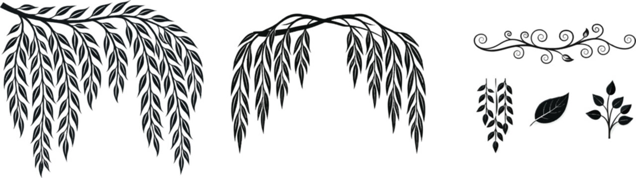 A minimalist black ink illustration of a willow branch with hanging leaves on a crisp white background, showcasing elegant symmetry and detailed nature art in vector graphic style