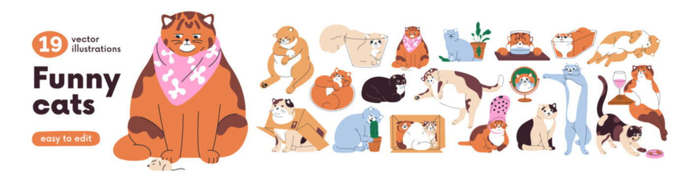 Funny cats set. Cute comic meme kitties. Happy and sad felines with amusing expressions, humor emotions and poses. Humorous mem animals. Flat vector illustrations isolated on white background