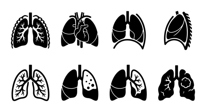 Set of human lung icons showing healthy and diseased lungs and heart silhouette Vector