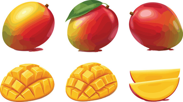 Fresh Ripe Mango Fruit Vector Set with Whole Yellow and Red Mangos, Green Leaves, Halves, and Cubed Hedgehog Slices for Summer Beverage Packaging Layouts