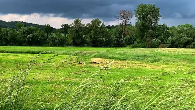 A countryside scene before a storm.