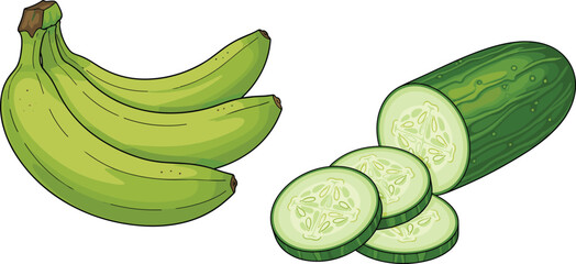 Fresh Green Plantain Banana Bunch and Sliced Cucumber Vector Set for Healthy Cooking Recipes, Organic Grocery Market Banners, and Tropical Food Illustrations © EdGe Creative