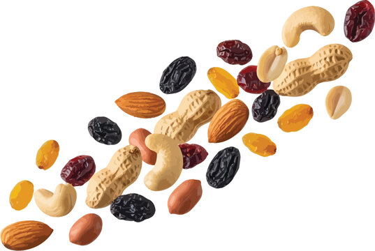 Assorted trail mix components almonds cashews peanuts raisins and dried cranberries isolated on white