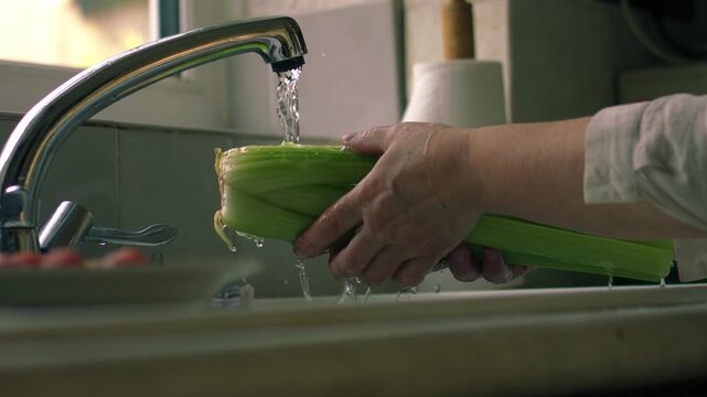 Woman washing celery in kitchen sink