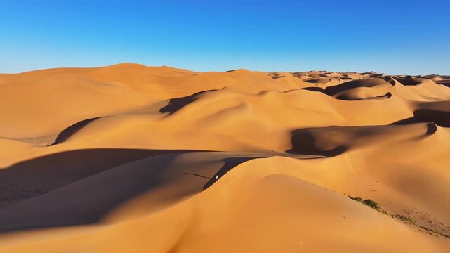 Pull-back aerial shot of endless desert sand dunes under deep blue sky with tiny figure below