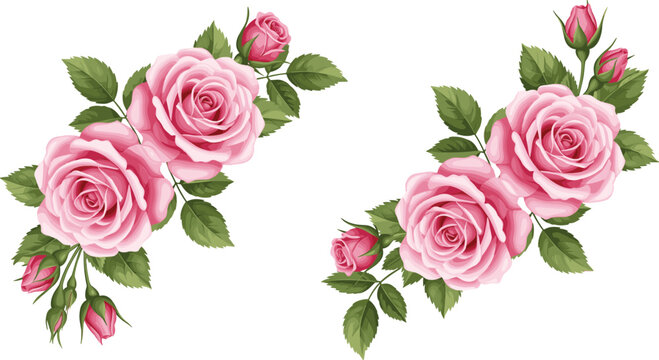 Elegant Pink Rose Bouquet Vector Set with Blooming Flowers, Buds, and Green Leaves for Wedding Invitations, Greeting Cards, and Romantic Floral Designs