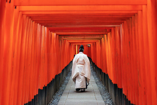 Traditional Shinto priest walking alone from behind through the vibrant orange Torii gates at Fushimi Inari Shrine in Kyoto, Japan on an early morning