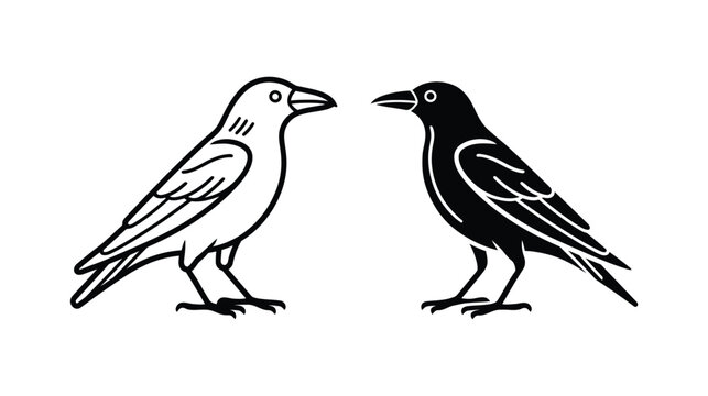 Crows bird black and white illustration of two facing each other