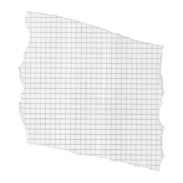 Torn graph paper isolated on transparent background. Scrap of math grid notebook sheet with ragged edges.