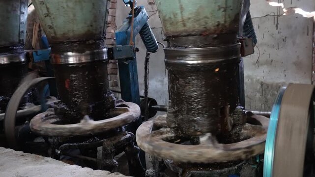 Mustard oil production machine in efficient operation