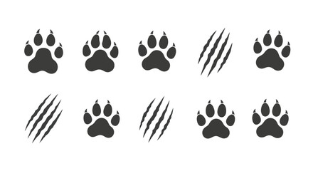 Collection of animal paw prints and claw marks in black on a white background. © Niat