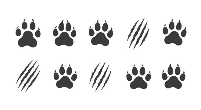 Collection of animal paw prints and claw marks in black on a white background.