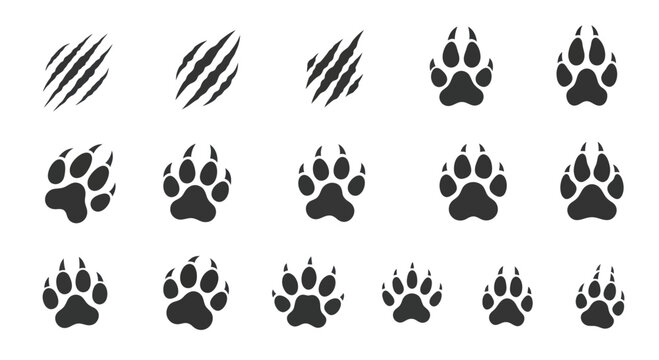 Collection of animal paw prints and claw scratch marks.