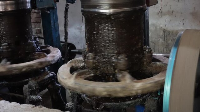 Traditional oil mill machine extracting fresh oil