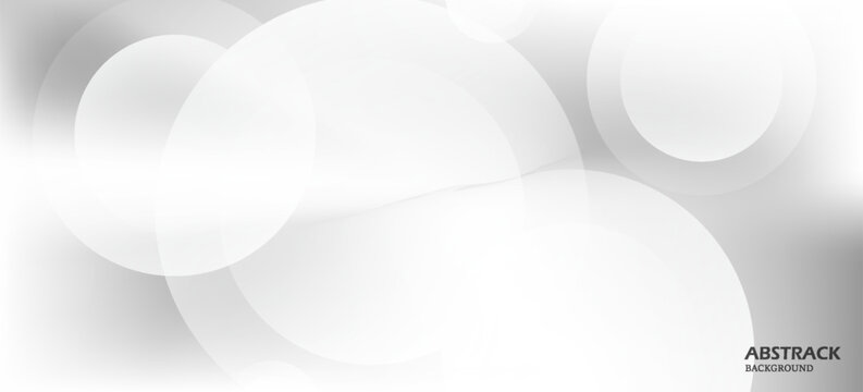 Elegant grayscale abstract composition featuring transparent circular forms, soft shadows, atmospheric lighting, and smooth tonal gradients.