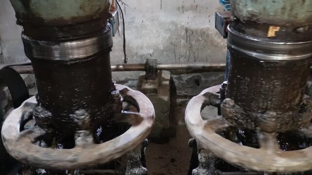 Kachi ghani oil machine cold pressing seeds efficiently