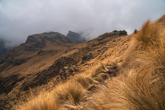 Golden grass landscape on Popocat&eacute;petl volcano in Mexico with misty mountains and cloudy sky during autumn perfect for hiking and adventure travel