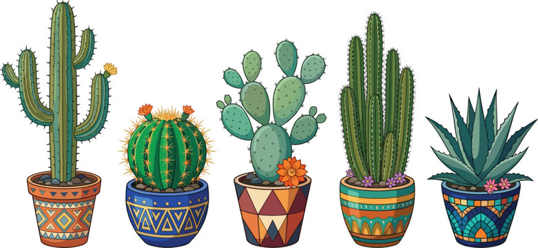 Potted cactus and agave succulent plants with colorful tribal pattern pots vector illustration.