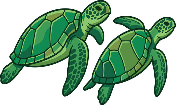 Two green sea turtles swimming together vector cartoon illustration isolated on white background.