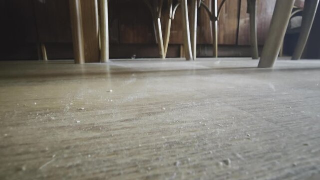 Low angle view of an uncleaned laminate floor covered in dust, dirt, and pet hair. Concept of allergy, chores, and poor hygiene