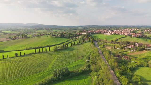 Drone sliding over a straight road near San Rocco a Pilli, Tuscany, Italy, moving toward a curving row of cypress trees and revealing a distant view of the Tuscan town in warm afternoon light.