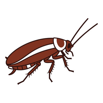Brown cockroach with white stripes on body and antennae standing alone icon