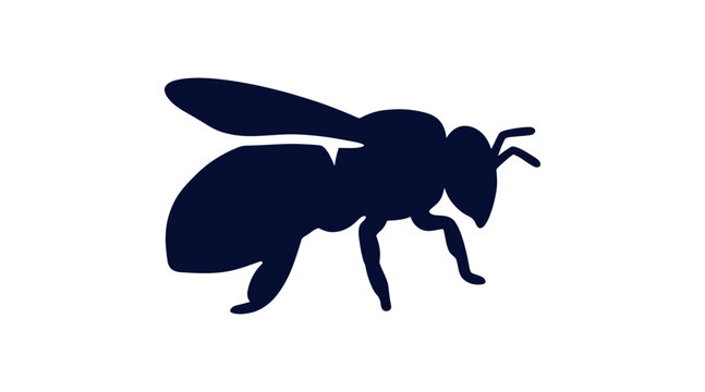 Silhouette icon of a single male drone bee standing