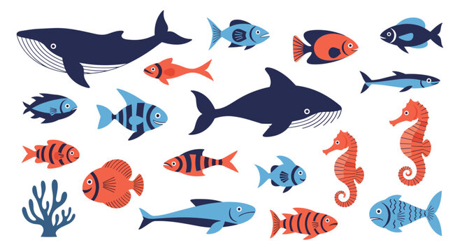 Large collection of diverse and colorful sea creatures including whales, sharks, seahorses, coral, and various tropical fish species.