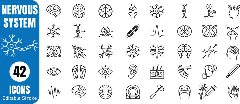 Nervous system icons brain neurons senses reflexes and medical diagnostics line art