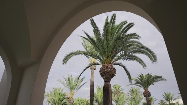 Tropical palm trees framed by architectural arches in a serene setting