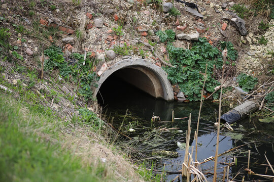 A concrete culvert opening is partially blocked by an accumulation of branches.