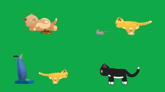 Kitten Mouse Playful Panther animation on green screen chroma key background flat lighting no shadow flush edge isolated minimal animated character perfect compositing vfx asset high quality render