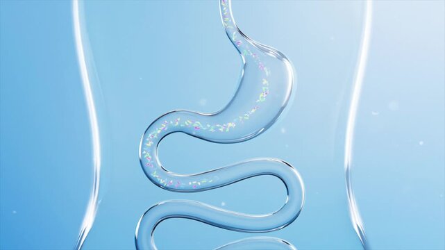 Probiotics promote gastrointestinal motility, clear viruses and bacteria from the intestines, and accelerate peristalsis of small intestinal villi. Digestive system health concept in 3D.