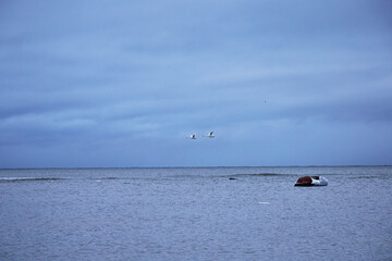Fototapeta premium fishing boat on the beach