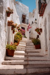 Fototapeta premium Sunlit cobblestone steps ascend a narrow white village alley, adorned with potted flowers
