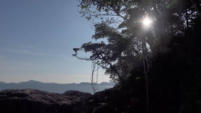 Skerries in the coastal zone of the Andaman sea. Coastal rainforest with wood vines. Thailand. Sounds of tropical jungle cicadas ringing