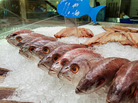 Fresh catch on ice at the market