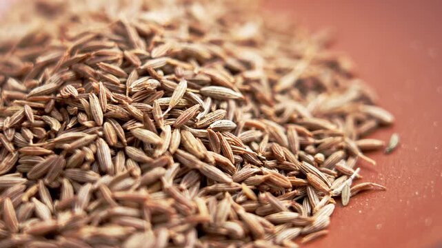 Macro shot of a heap of whole dried cumin seeds resting on a rustic terracotta surface. Rotation