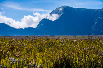 Fototapeta premium Grassy plain with mountains in Bromo Tengger Semeru National Park