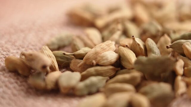 Organic cardamom pods falling on natural burlap fabric in a close up. Whole aromatic spice capsules. Dried cardamon seeds