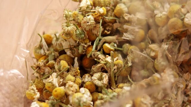 Medicinal dried matricaria chamomilla heads in clear packaging falling on a table. Naturopathy herbs. Chamomile blossoms