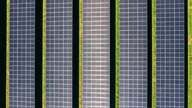 Aerial View of Parallel Solar Panel Rows with Green Vegetation