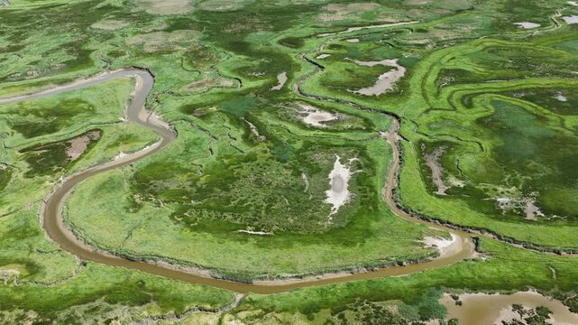 Aerial View of the Drowned Land of Saeftinghe