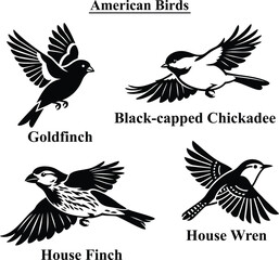 Vector illustration set of North American birds featuring Goldfinch, Black-capped Chickadee, House Finch, and House Wren isolated on a white background © Anukul