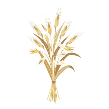 Golden wheat bundle, wheat sheaf, grain illustration, agricultural symbol